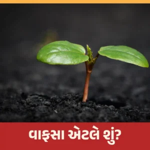 Read more about the article વાફસા પ્રાકૃતિક ખેતીમાં કેટલું મહત્વનું છે?