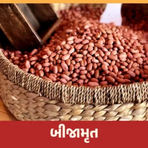 Read more about the article બીજામૃત બનાવવાની રીત અને તેના ફાયદા જાણીએ.