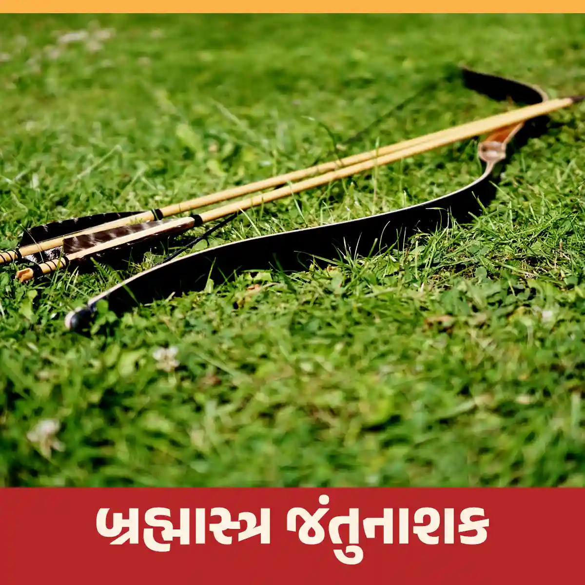 Read more about the article બ્રહ્માસ્ત્ર જંતુનાશકનું પ્રાકૃતિક ખેતીમાં મહત્વ અને બનાવવાની પદ્ધતિ જાણો.