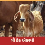 Gau Tech 2023 આવી રહ્યો છે ગાય આધારિત વ્યવસાય અને ટેકનોલોજી માટેનો સૌથી મોટો એક્સપો રાજકોટ શહેરમાં