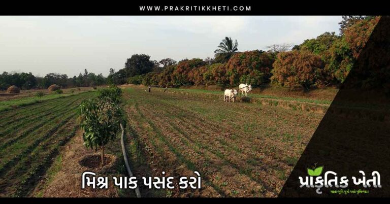 પ્રાકૃતિક ખેતી પદ્ધતિમાં મિશ્ર પાક