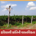 હરિયાળી ક્રાંતિની આડઅસરો અને પ્રાકૃતિક કૃષિની જરૂરિયાત