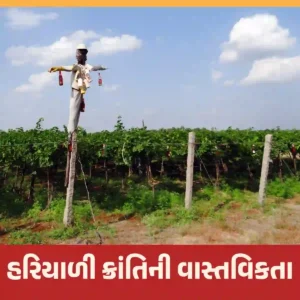 Haliyari Kranti ni vastvita