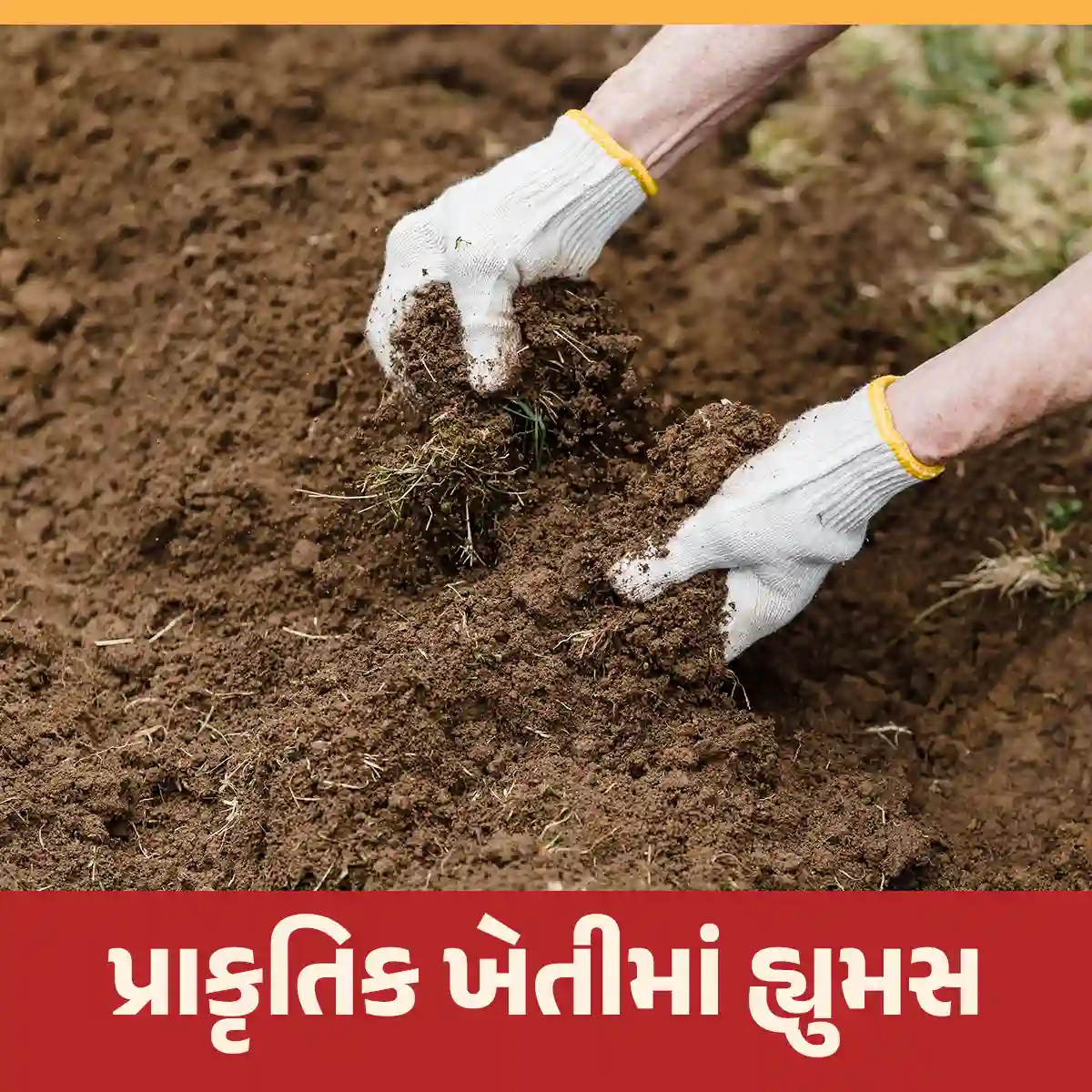 પ્રાકૃતિક ખેતીમાં હ્યુમસ