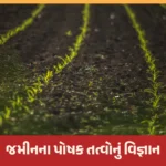 પ્રાકૃતિક કૃષિમાં જમીન કેવી રીતે અન્નપૂર્ણા બને છે? પોષક તત્વોનું વિજ્ઞાન