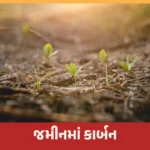 કાર્બન તત્વ પ્રાકૃતિક ખેતી – જમીનમાં કાર્બન વધારવાની ૩ અકસીર રીતો