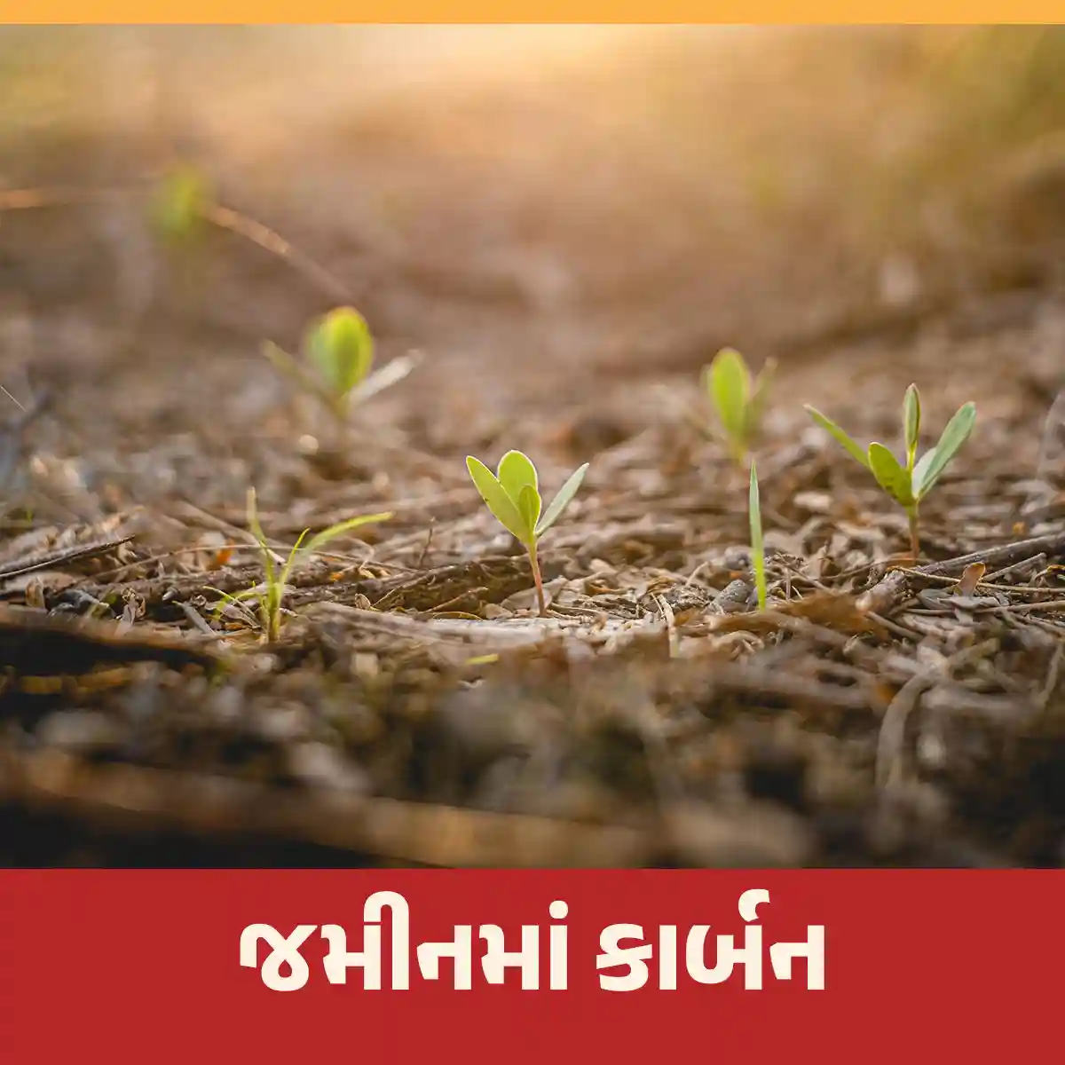 કાર્બન તત્વ પ્રાકૃતિક ખેતી