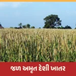 જળ અમૃત દેશી ખાતર: જમીનને જીવંત બનાવવાની ૪ અકસીર કુદરતી રીતો