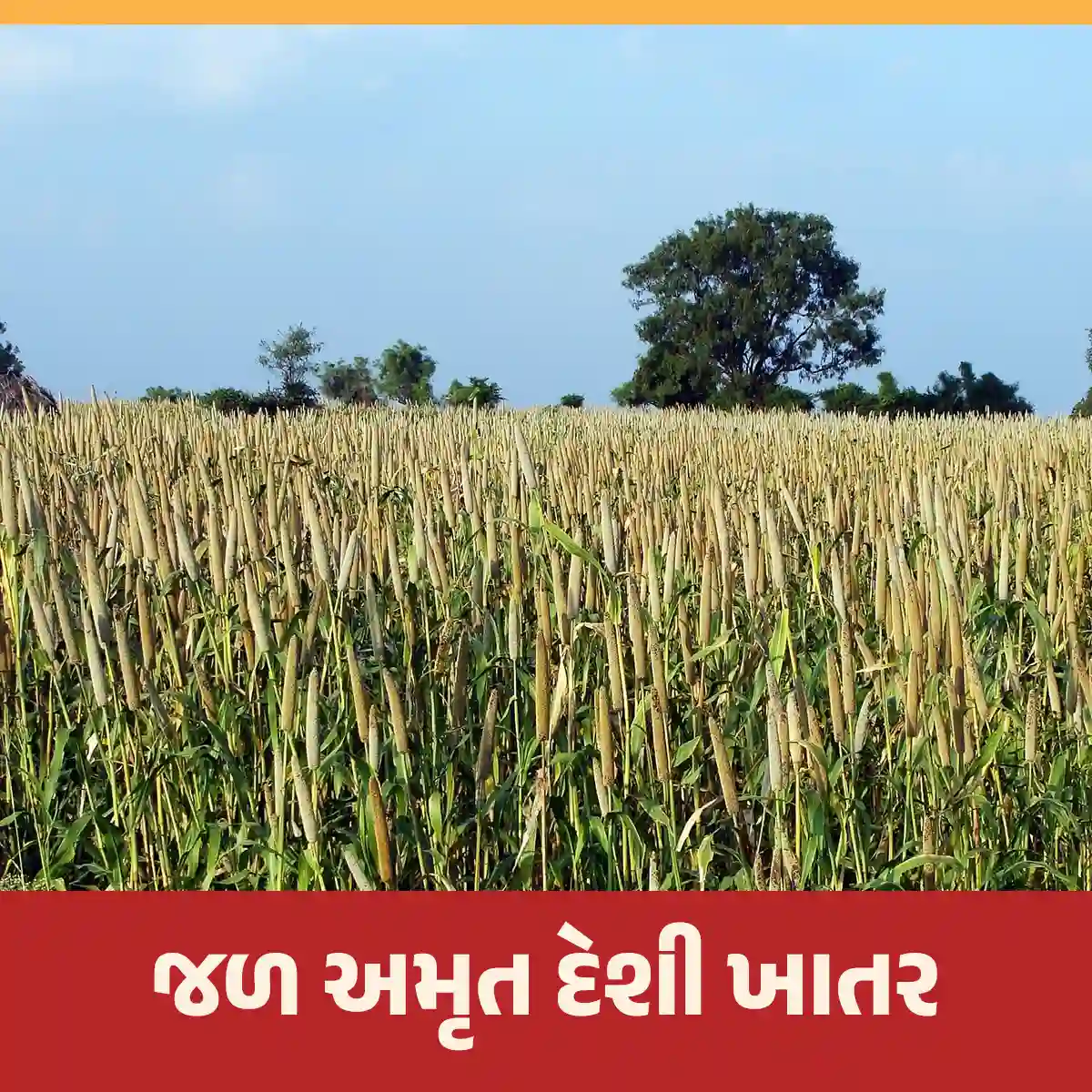 જળ અમૃત દેશી ખાતર