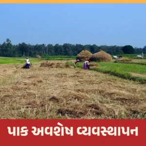 પાક અવશેષ વ્યવસ્થાપન